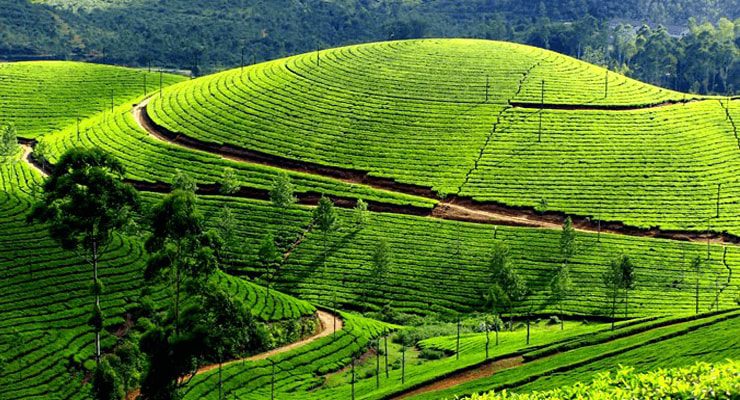 valparai-tourism