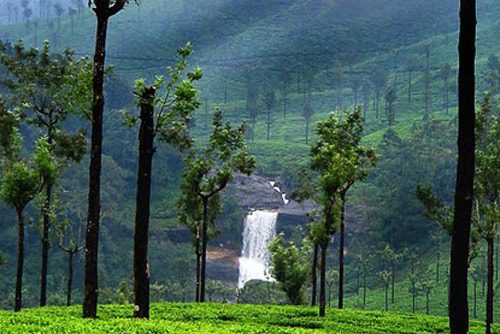 valparai_tourism