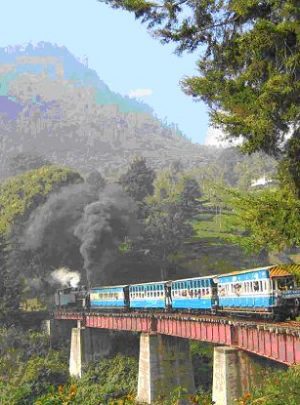 ooty tour packages