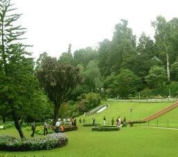 Ooty Garden