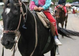 kodaikanal horse ride