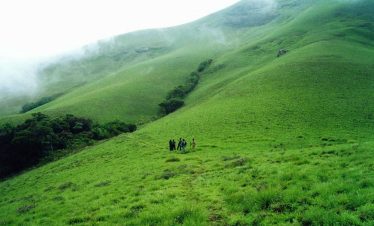 grasshills-valparai