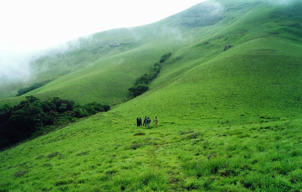 grasshills-valparai