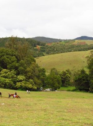 ooty shooting-point-pic-no