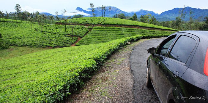 valparai-grass hills view