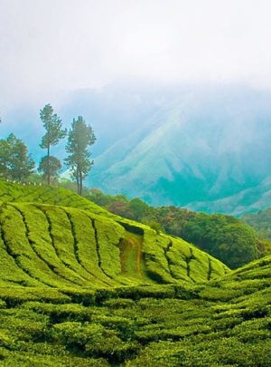 Munnar
