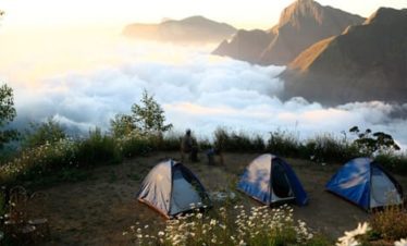 top_station_munnar