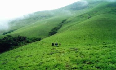 valparai-grasshills