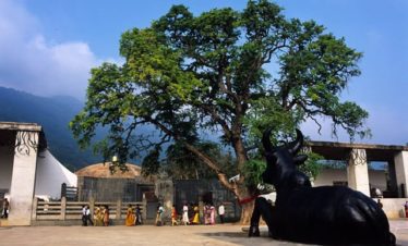 isha-foundation-yoga-courses-coimbatore