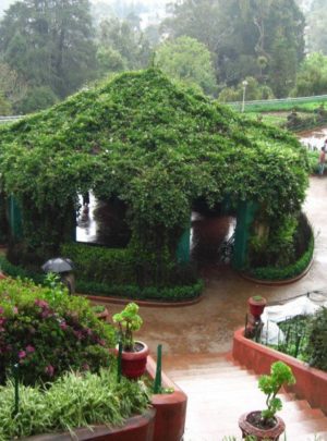 Botanical Garden ooty