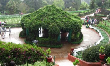 Botanical Garden ooty