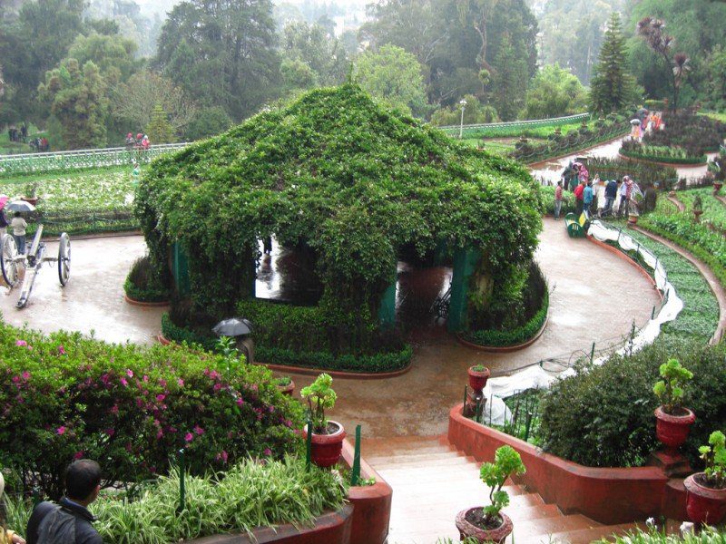 Botanical Garden ooty