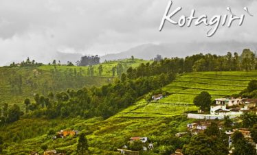 kotagiri tour package