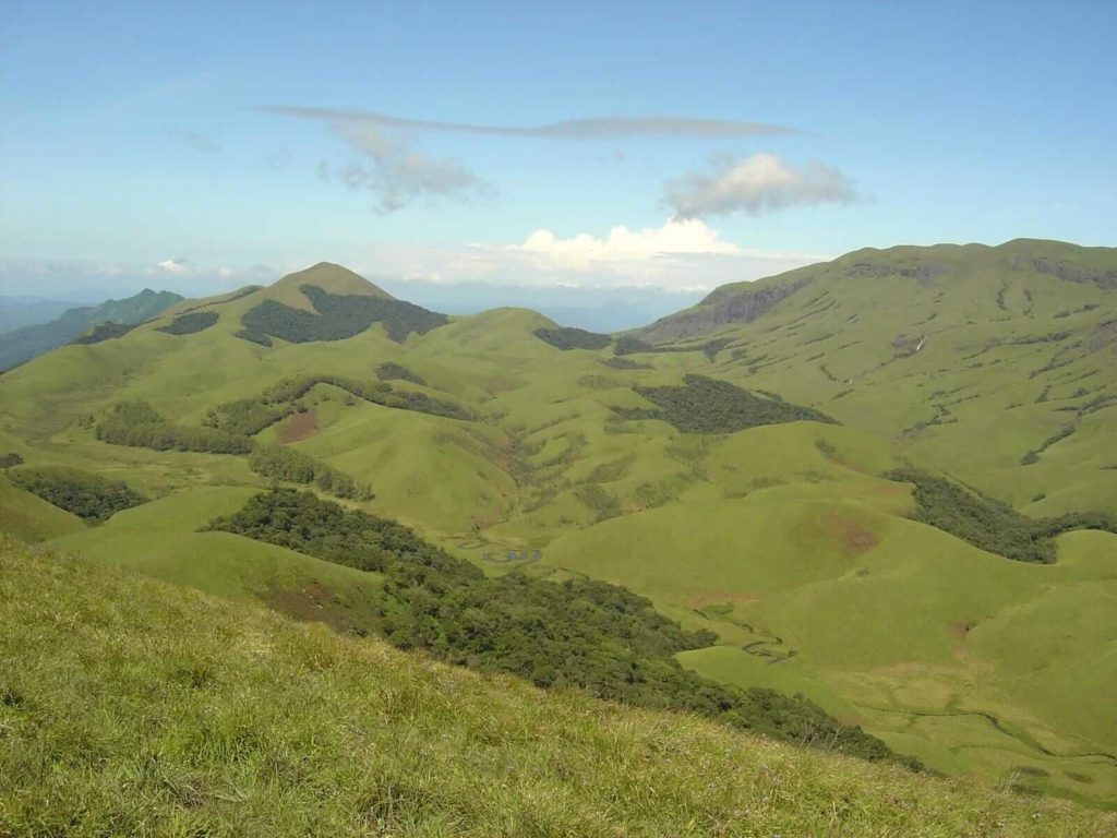 grass hills valparai