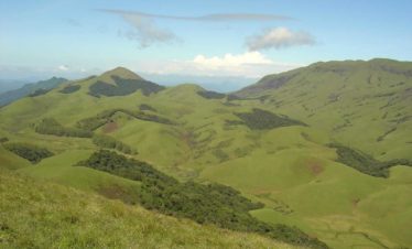 grass hills valparai