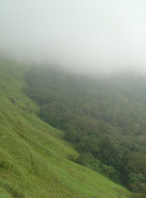 akkamalai grass hills