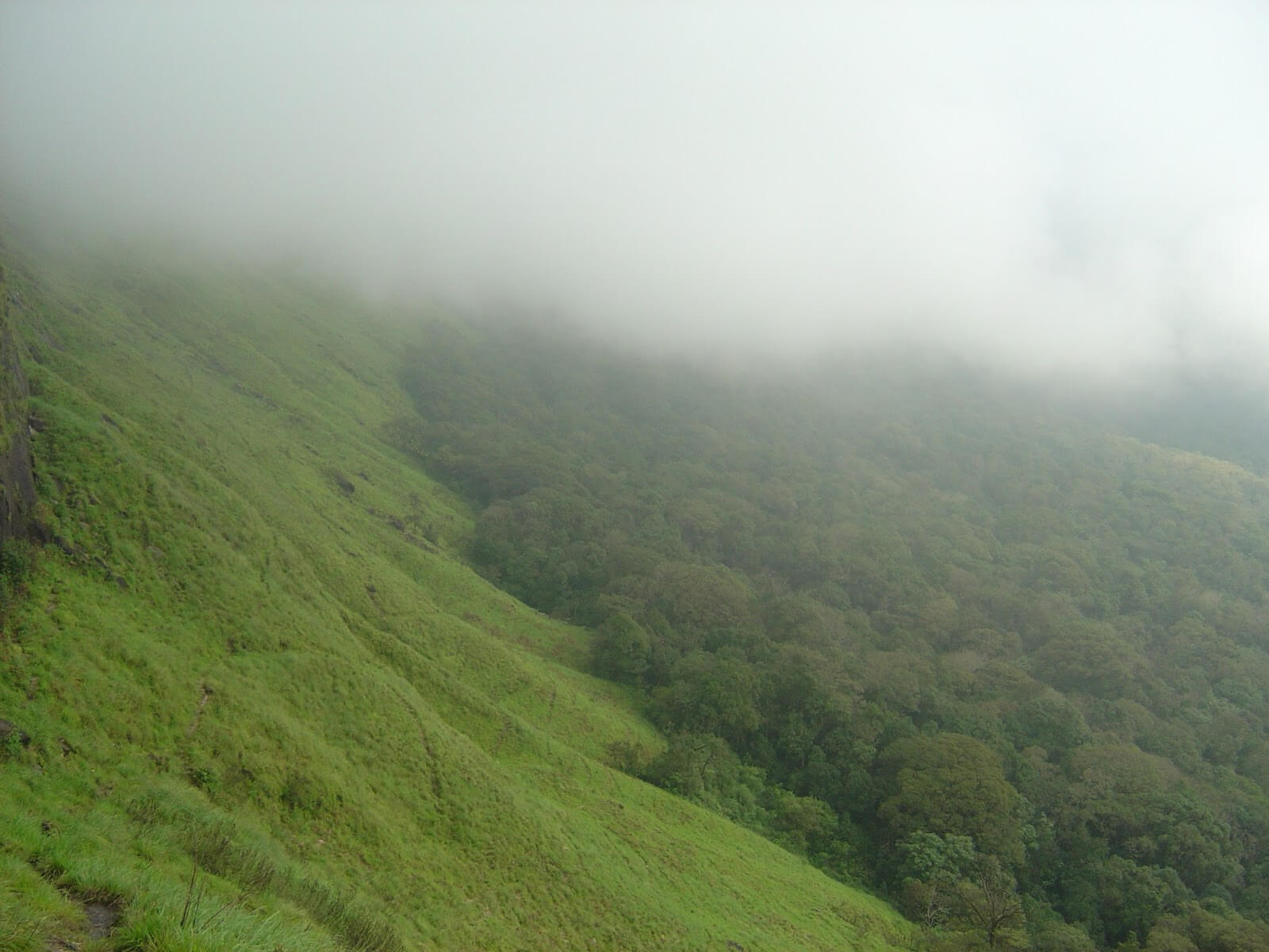akkamalai grass hills