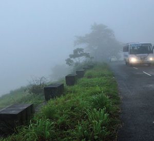 Nelliyampathi upper deck view