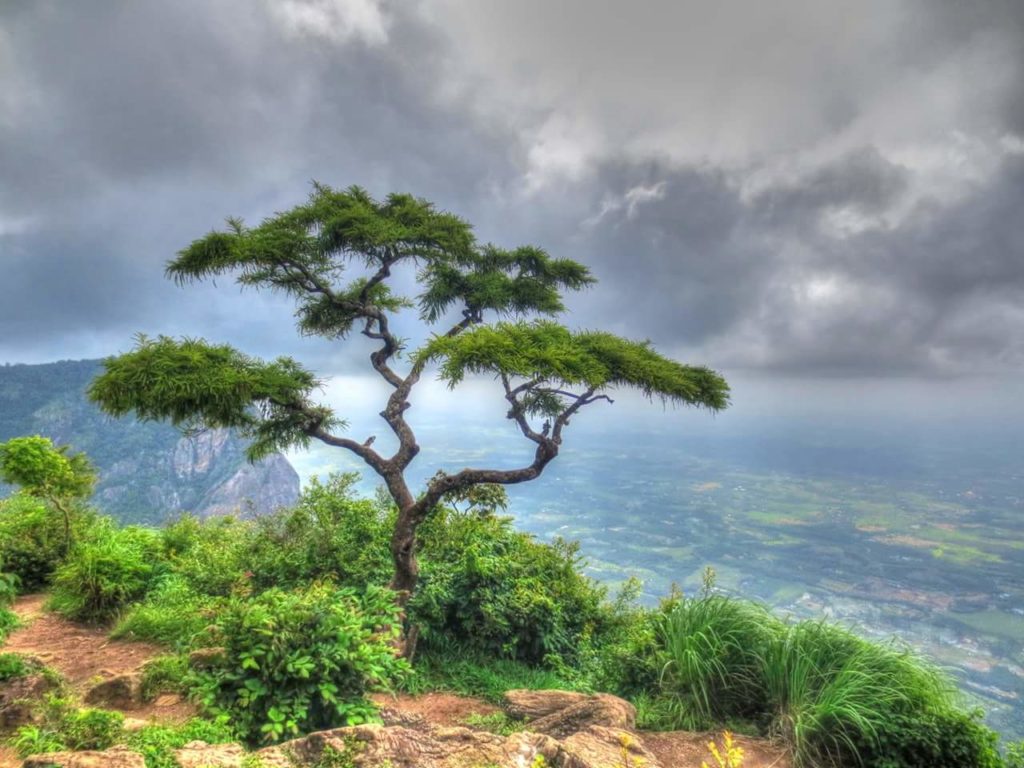 Nelliampathi view point