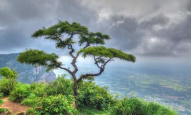Nelliampathi view point