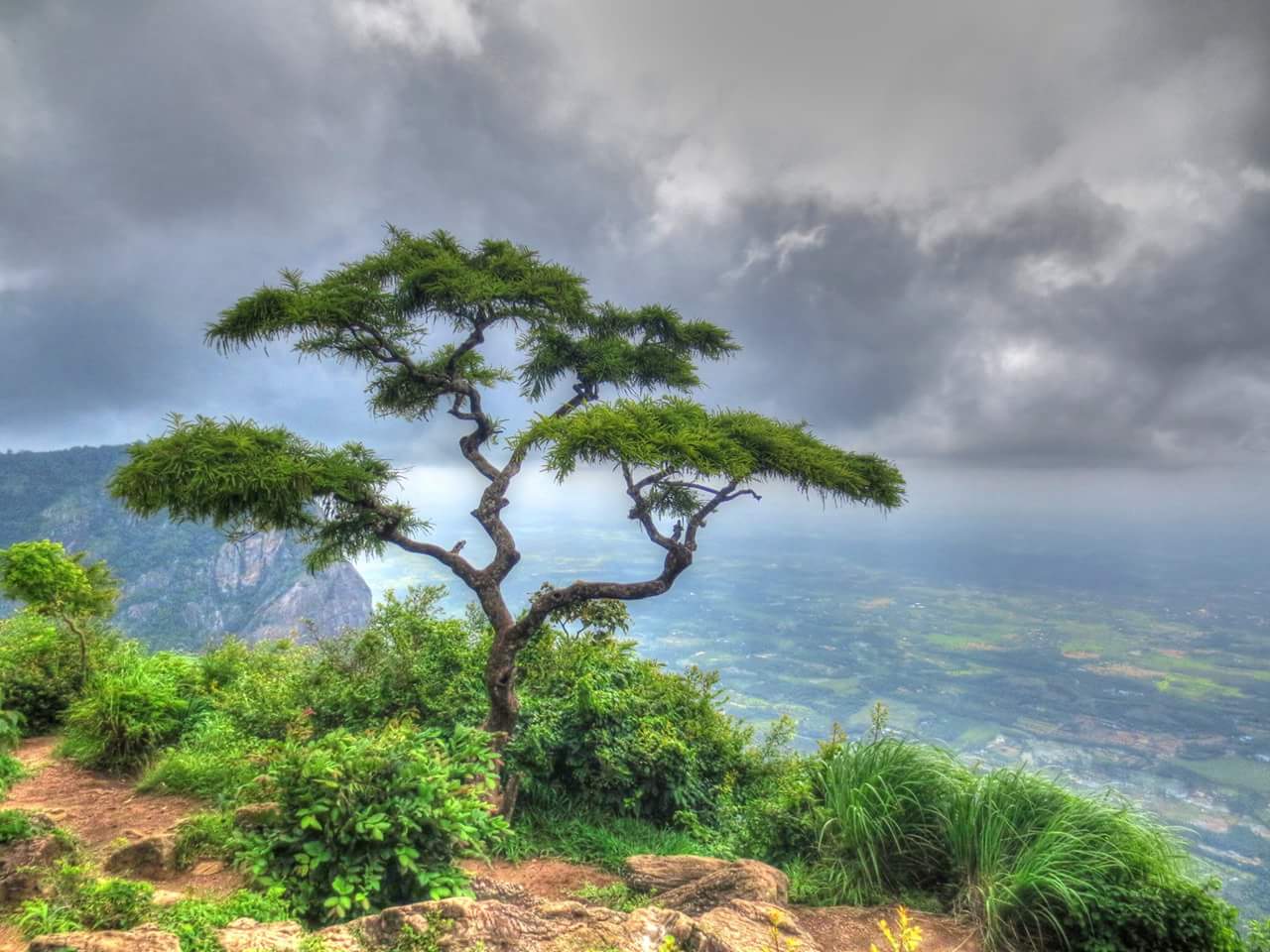 Nelliampathi view point