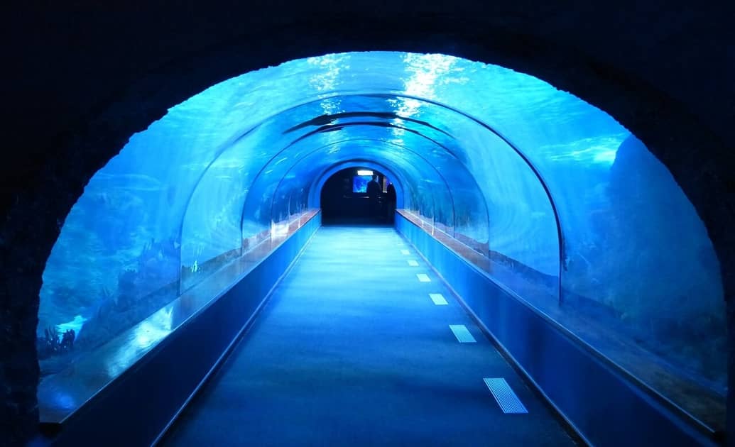 Under Water Tunnel Aquarium