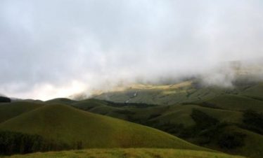 grass-hills-valparai