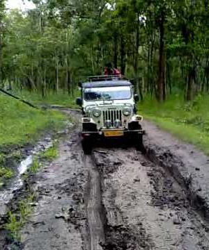 Jeep ride