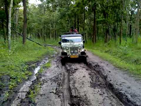 Jeep ride