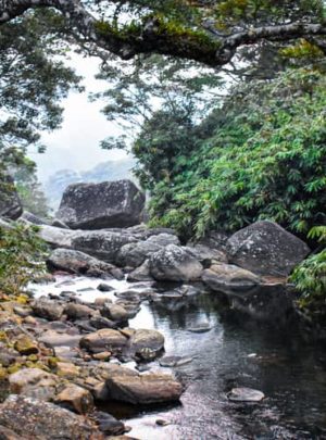 river-view-pothigai hills