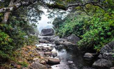 river-view-pothigai hills