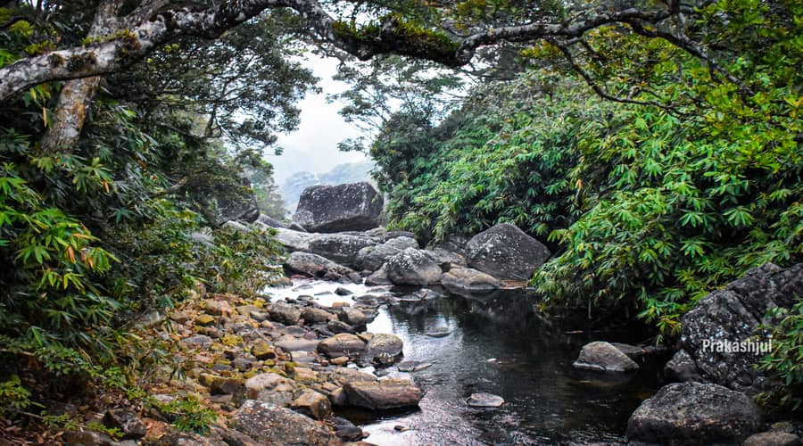 river-view-pothigai hills