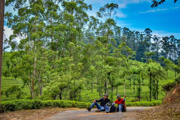 trek-via-tea-garden