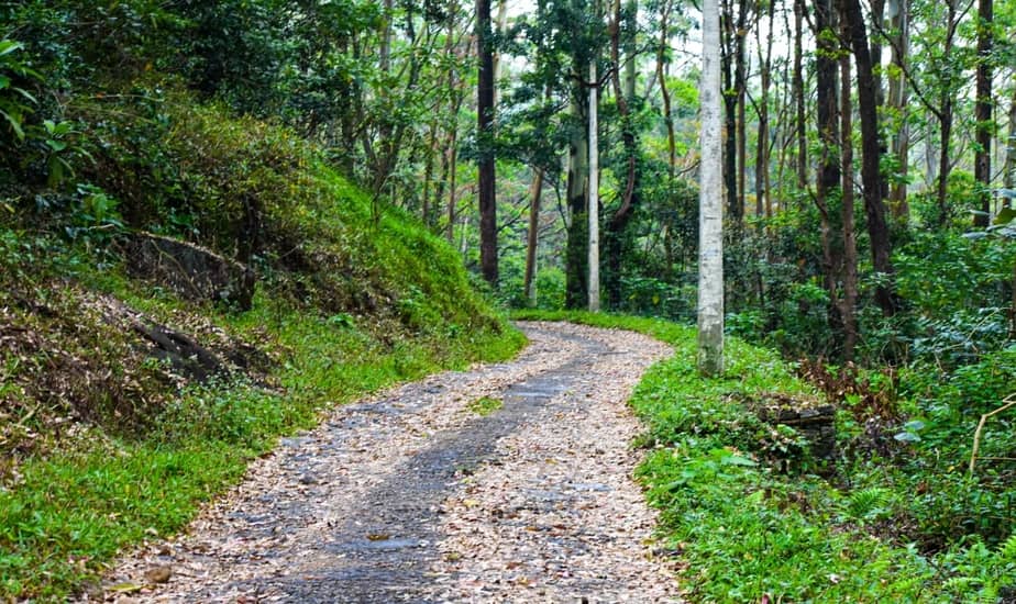 way to kuthiraivetti
