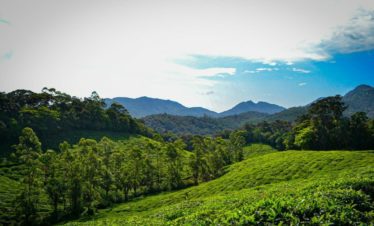 manjolai estate
