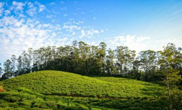 Manjolai One Day Eco Tourism Packages at ₹1999