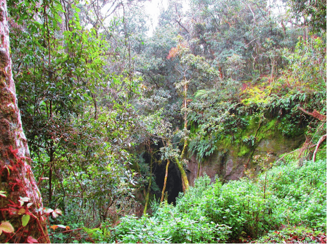 Guna Cave Kodaikanal