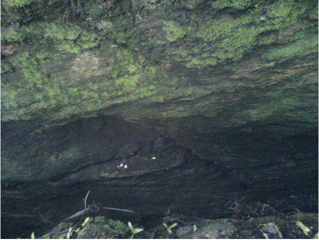 Guna cave depth