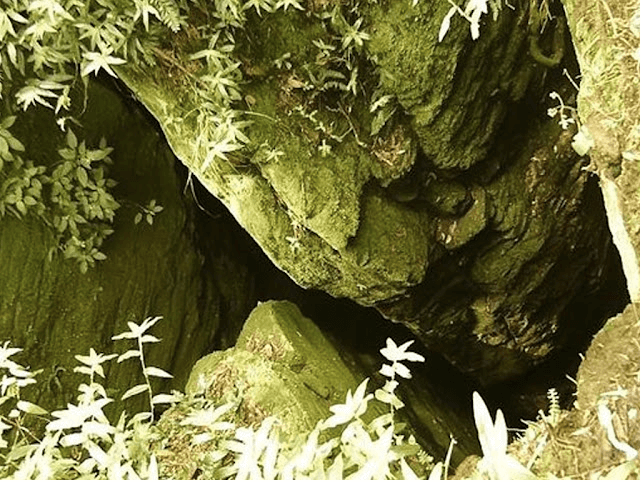 Guna Cave called Devil's Kitchen.png