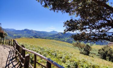 Eravikulam National Park Tour Munnar