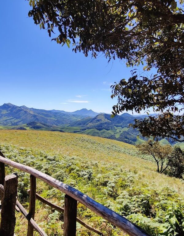 Eravikulam National Park Tour Munnar