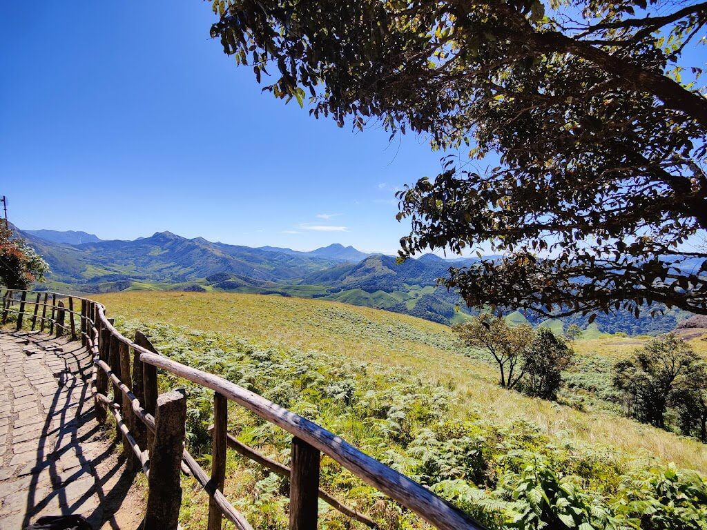Eravikulam National Park Tour Munnar