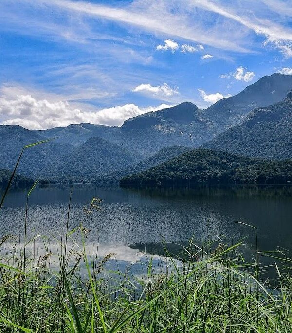 Parambikulam one day trip