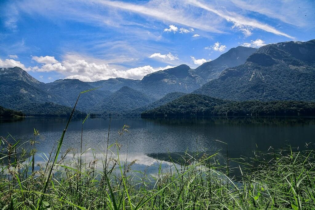 Parambikulam one day trip