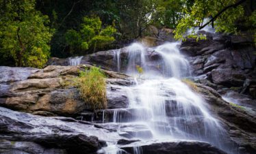 Yercaud tour packages