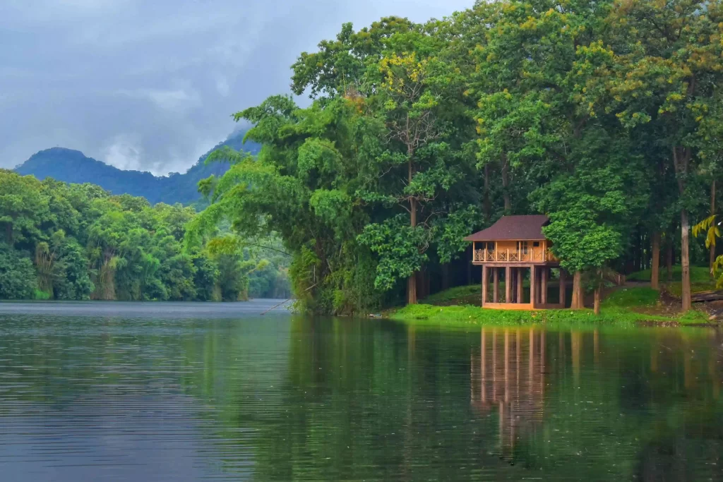 Parambikulam Treetop Wooden Stay Timber Nook