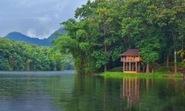 Parambikulam Treetop Wooden Stay Timber Nook