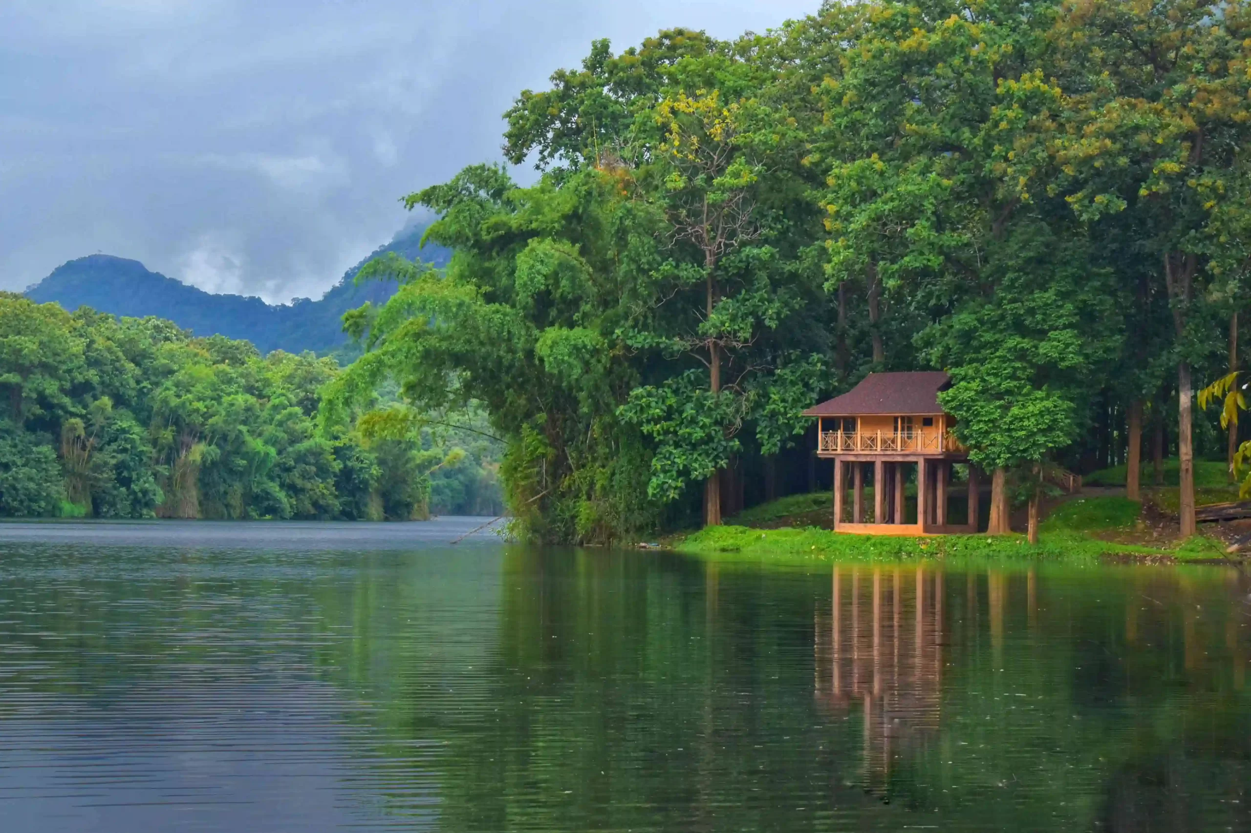 Parambikulam Treetop Wooden Stay Timber Nook