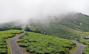 Thalanar View : Snow Point