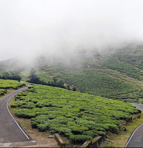 Thalanar View : Snow Point